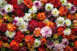 A large group of colorful flowers are arranged in a square background photo