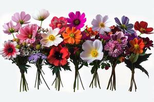 A Bunch of Flowers are Arranged in a Row Background photo