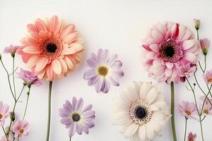 Several Pink and Purple Flowers are Arranged on a White Background Background photo