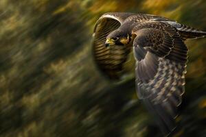 Bird Flying in the Air with a Blurry Background Background photo