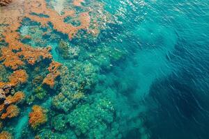 Aerial View of Ocean and Coral Reefs Background photo