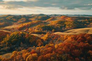 Aerial View of Autumn Forest in the Mountains Background photo