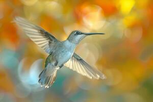 A Hummingbird Flying Through the Air with a Blurred Background photo