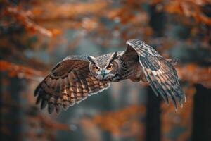 Owl Flying in the Forest Background photo