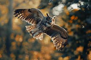 Owl Flying in the Air with Its Wings Spread Background photo
