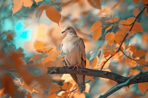 A Bird Is Perched on a Branch in the Autumn with Background photo
