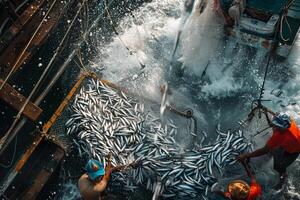 fishing boat with men loading fish into a net with nature background photo