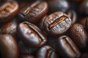 coffee beans are shown in this  image photo