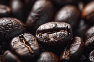 coffee beans are shown in this  photo