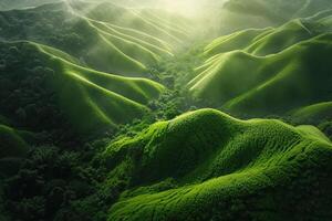 Green Mountain Range with Trees and Fog Background photo