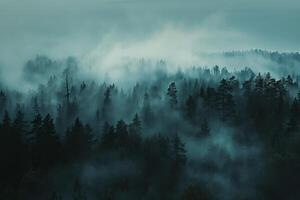A forest with trees and fog in the background, background photo