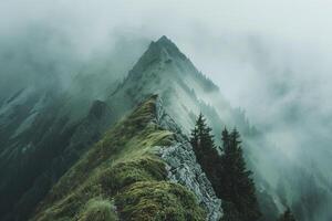 A Mountain Ridge with Trees and Fog Background photo