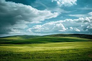 Field with green grass and a sky background photo