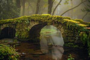 An Old Stone Bridge in the Forest with Moss Background photo