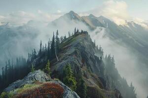 A Mountain Top with Trees and Fog Background photo