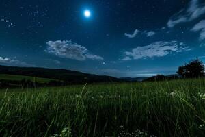 A Field with Grass and Trees under a Starry Sky Background photo