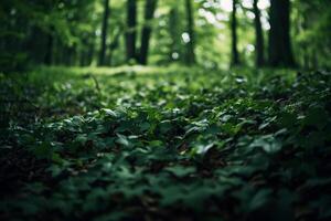 Green Forest with Leaves and Trees Background photo