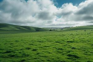 Field with Cows Grazing in It Background photo