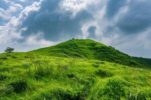 Hill with Grass and Trees under Cloudy Sky Background photo