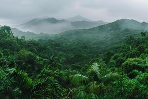 View of Jungle with Mountains in Background photo