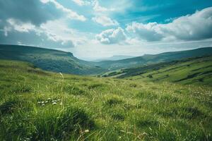 a grassy field with a mountain in the background photo