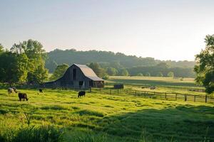 a field with cows grazing in it background photo