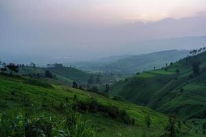 a view of a green valley with hills and trees background photo