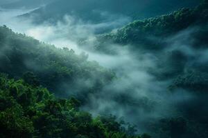 a view of a green forest with fog and trees background photo