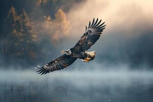An eagle flies over a lake with misty fog background photo