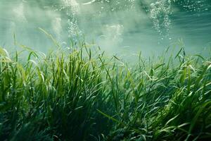 a grassy field under water with bubbles background photo