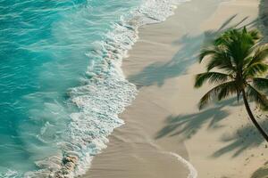 tropical beach with palm tree and waves background photo