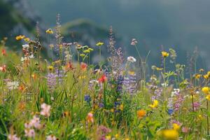 wild flowers in the mountains background photo