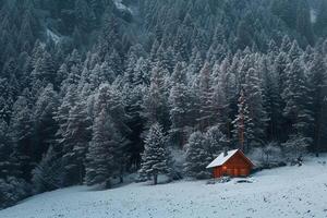 a small cabin in the middle of a snowy forest background photo