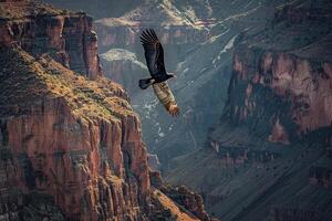 a bird flying over a canyon background photo