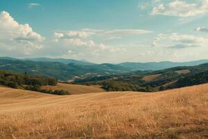 A field with grass and trees in the middle of a valley photo