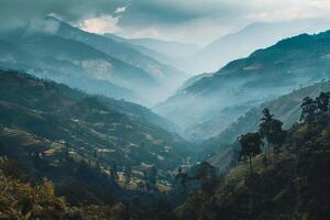 A view of the mountains and trees in the valley photo