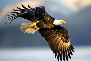 a bald eagle flying over the ocean with mountains in the background photo