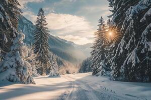 A Snowy Road in the Mountains with Trees Background photo