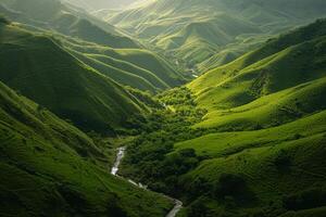 A Valley with a River Running Through it in the Background photo