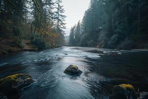 A River Flowing Through a Forest with Rocks and Trees Background photo