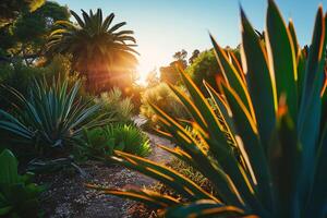 A Path Through a Garden with Plants and Trees Background photo