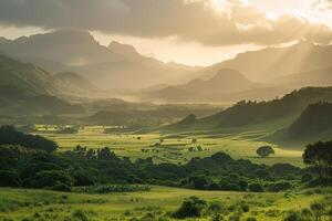 a large field of grass background photo