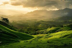 a field of green grass background photo