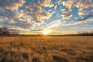 a sunset over a field with tall grass background photo