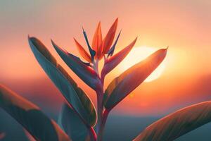 a bird of paradise flower is shown in front of the sun background photo