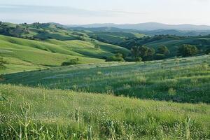 a field of green grass background photo