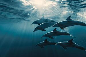 A Group of Dolphins Swimming in the Ocean with a Scenic Background photo