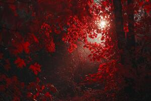 A Red Forest with Trees and Leaves with a Scenic Background photo