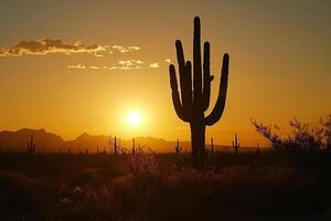 A Saguaro Cactus Stands in the Desert at Sunset with a Scenic Background photo
