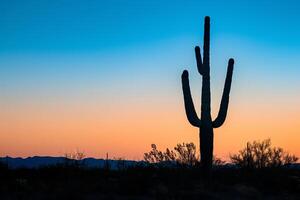 A Saguaro Cactus Stands Tall in the Desert at Sunset with a Scenic Background photo